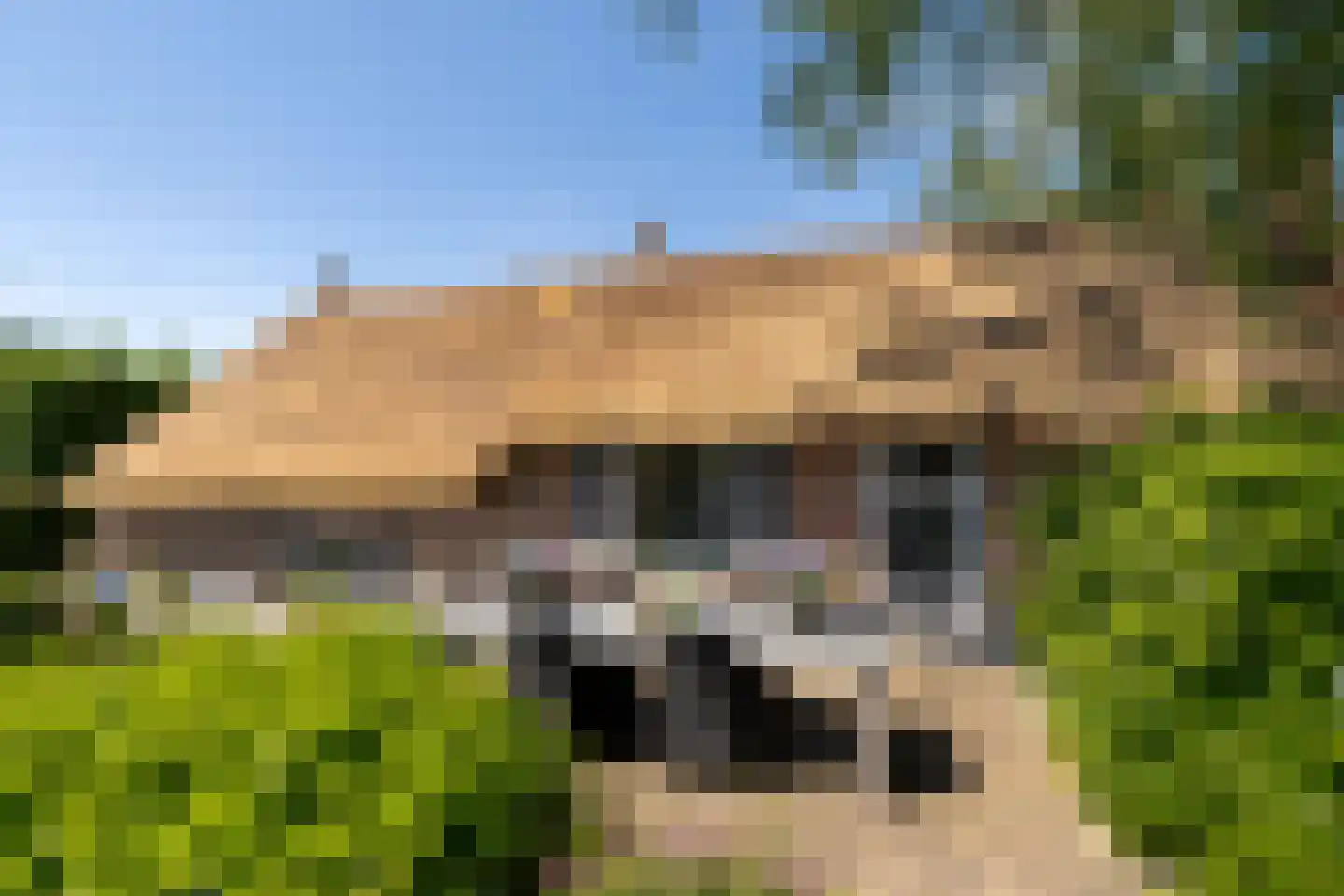 Melkweg 33 Huizen thumbnail 62