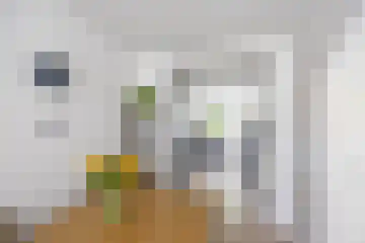 Melkweg 36 Groningen thumbnail 14