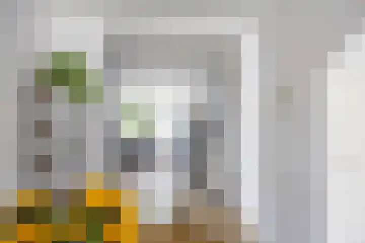 Melkweg 36 Groningen thumbnail 15
