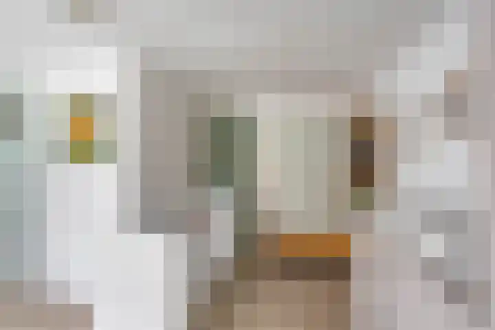 Melkweg 36 Groningen thumbnail 32