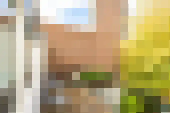 Melkweg 36 Groningen thumbnail 35