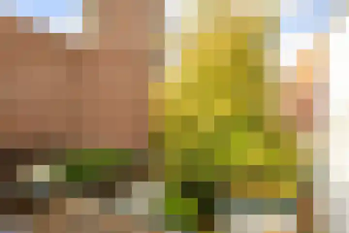 Melkweg 36 Groningen thumbnail 36