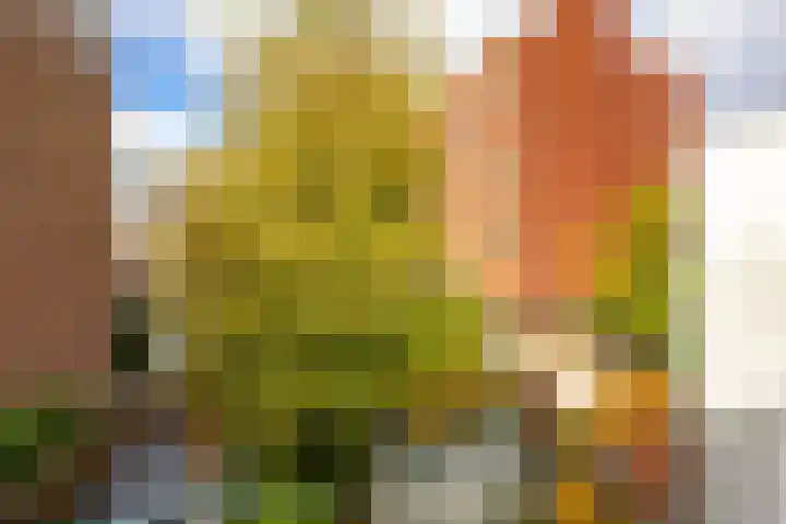 Melkweg 36 Groningen thumbnail 38