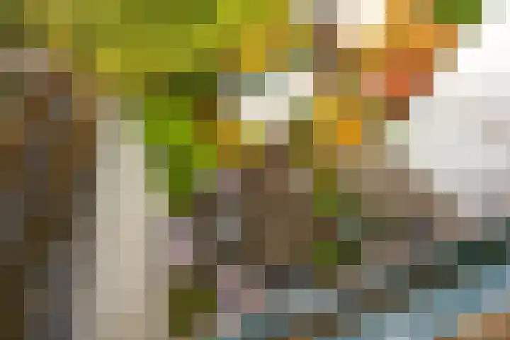 Melkweg 36 Groningen thumbnail 39