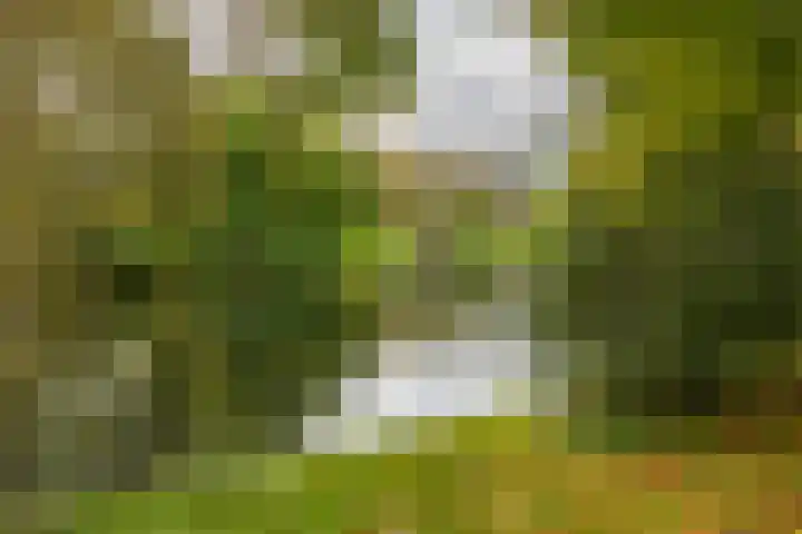 Melkweg 36 Groningen thumbnail 43