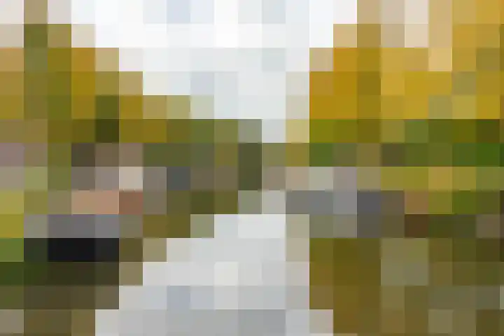 Melkweg 36 Groningen thumbnail 44