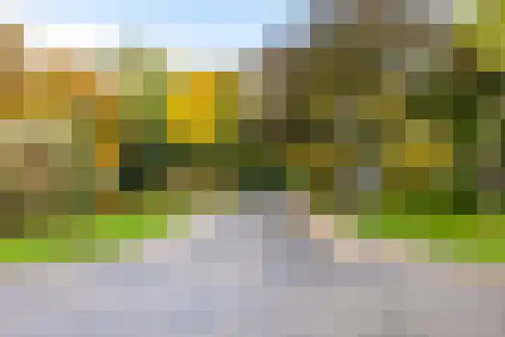 Melkweg 36 Groningen thumbnail 45