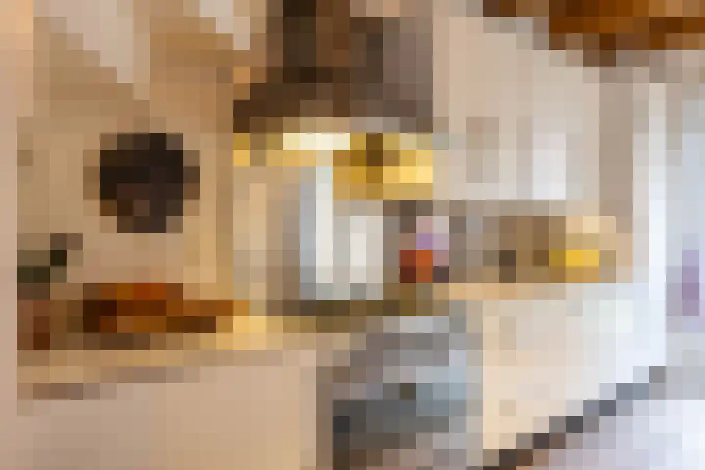 Melkweg 38 Groningen thumbnail 17