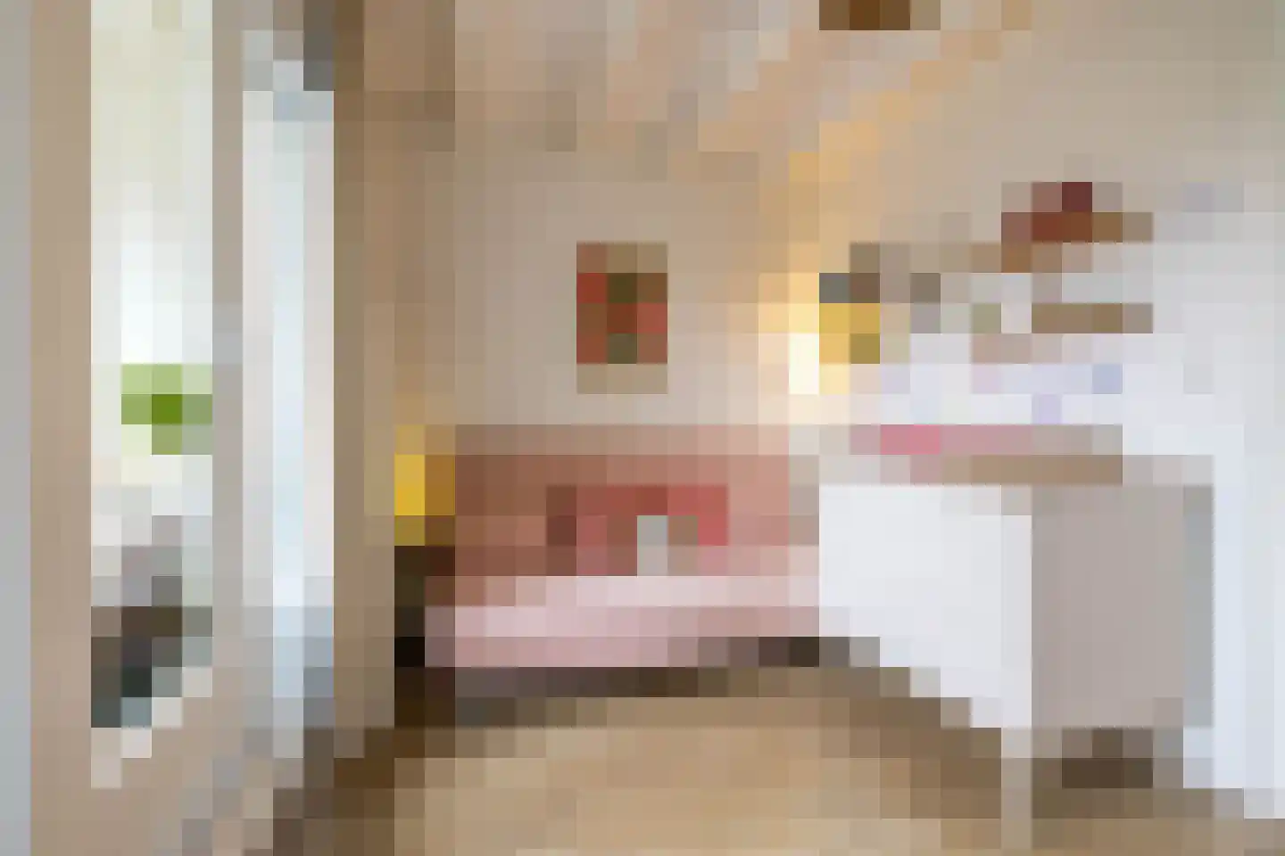 Melkweg 38 Groningen thumbnail 41