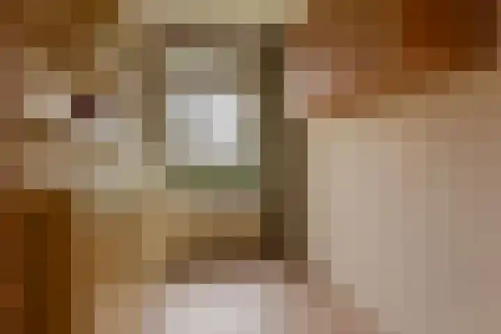 Melkweg 386 Hoogezand thumbnail 23