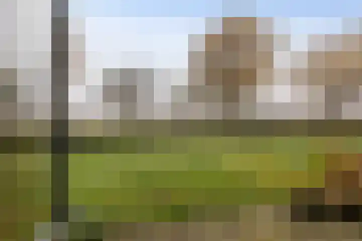 Melkweg 386 Hoogezand thumbnail 27