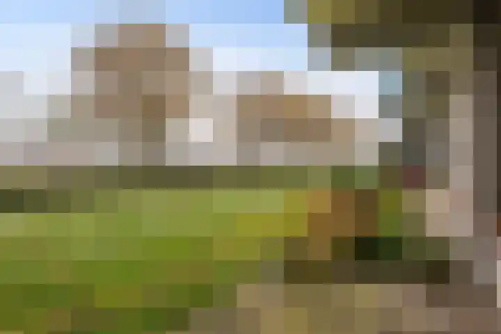 Melkweg 386 Hoogezand thumbnail 28