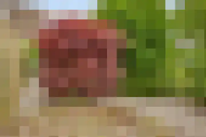 Melkweg 4 Almkerk thumbnail 18