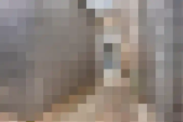 Melkweg 4 Almkerk thumbnail 20