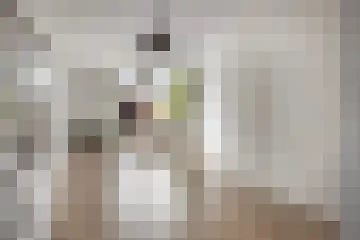 Melkweg 4 Almkerk thumbnail 9