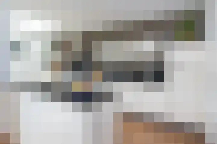Melkweg 52 Oude-Tonge thumbnail 13