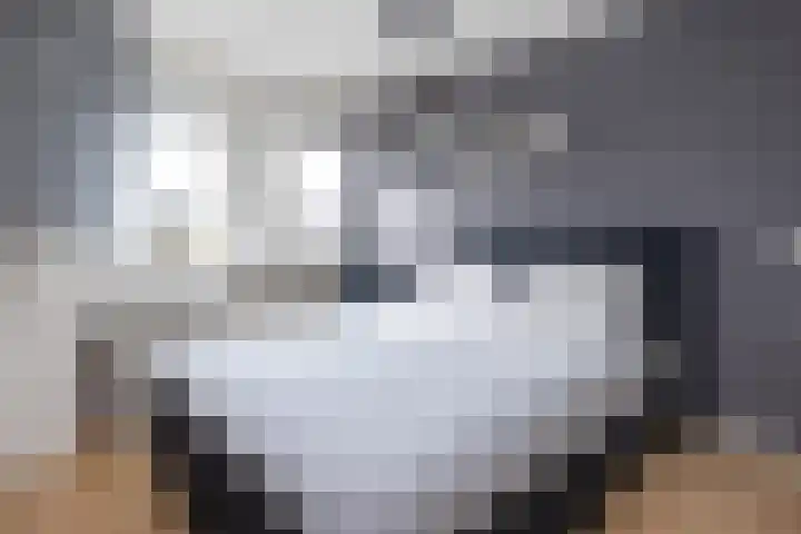 Melkweg 52 Oude-Tonge thumbnail 17