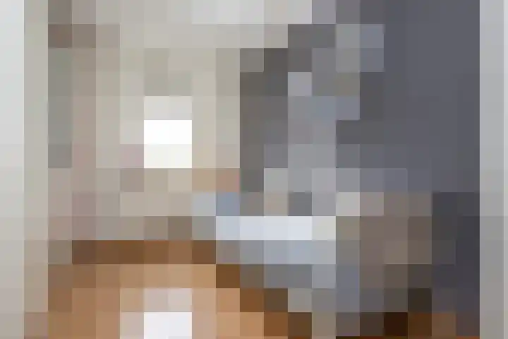 Melkweg 52 Oude-Tonge thumbnail 19