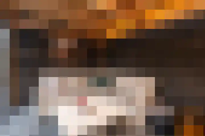 Melkweg 52 Oude-Tonge thumbnail 27
