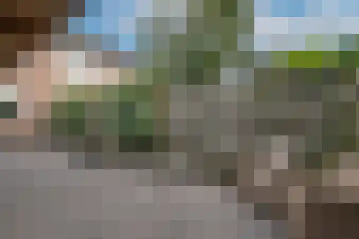 Melkweg 52 Oude-Tonge thumbnail 30