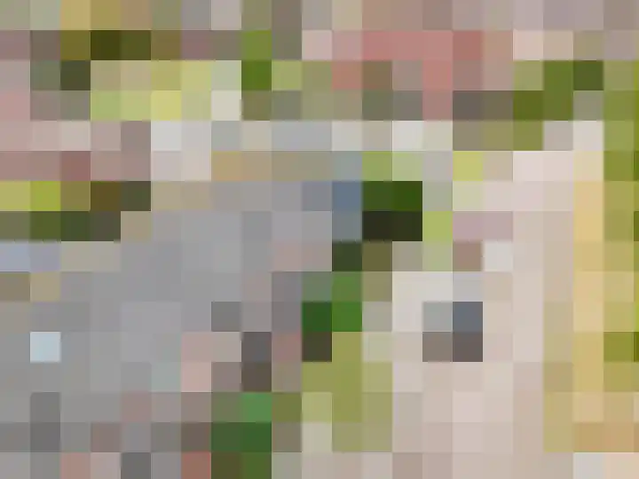 Melkweg 52 Oude-Tonge thumbnail 32