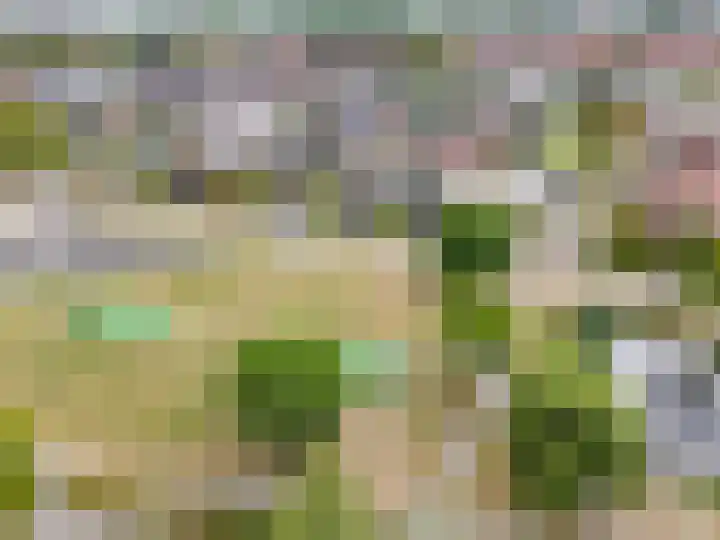 Melkweg 52 Oude-Tonge thumbnail 33