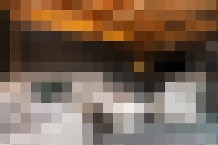 Melkweg 52 Oude-Tonge thumbnail 4