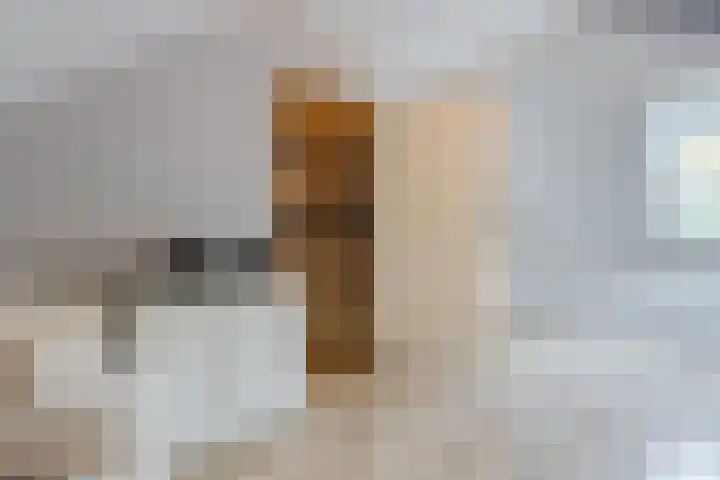 Melkweg 56 Katwijk thumbnail 37