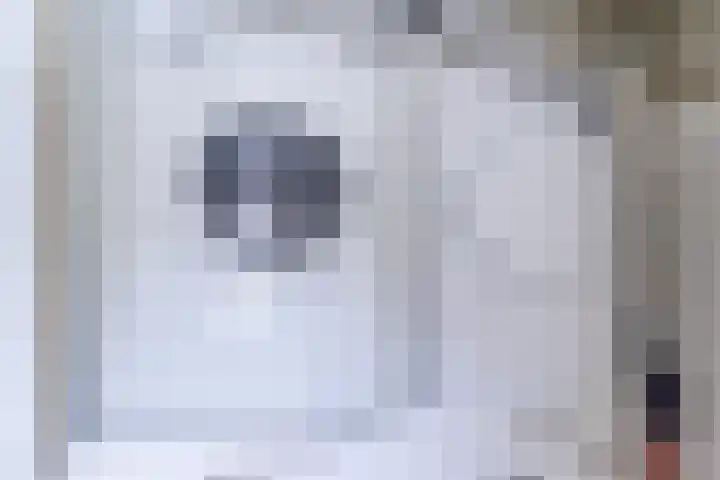 Melkweg 61 Eindhoven thumbnail 17