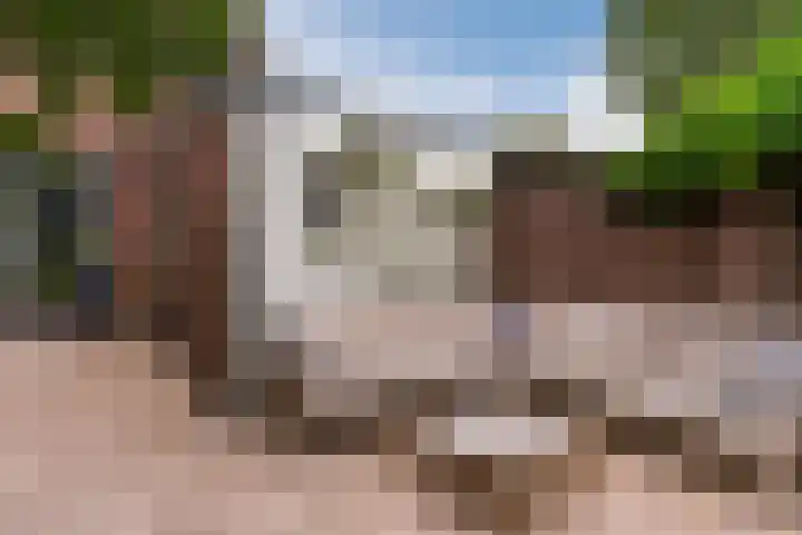 Melkweg 61 Eindhoven thumbnail 39