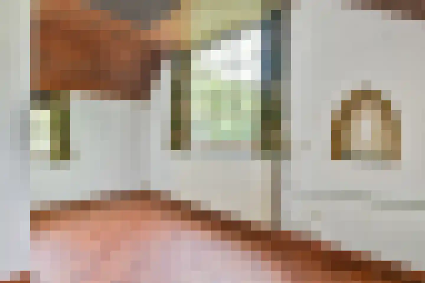 Melkweg 64 Laren thumbnail 12