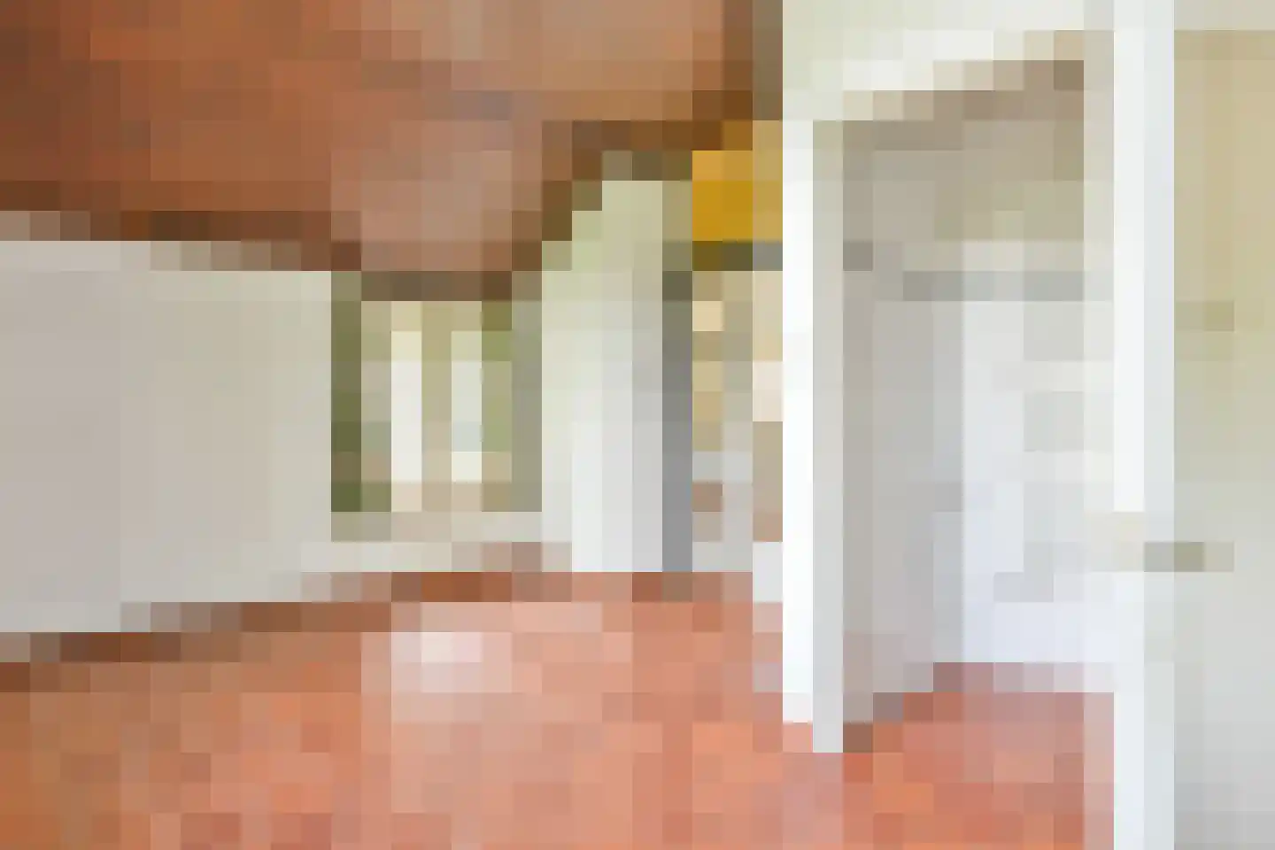 Melkweg 64 Laren thumbnail 13