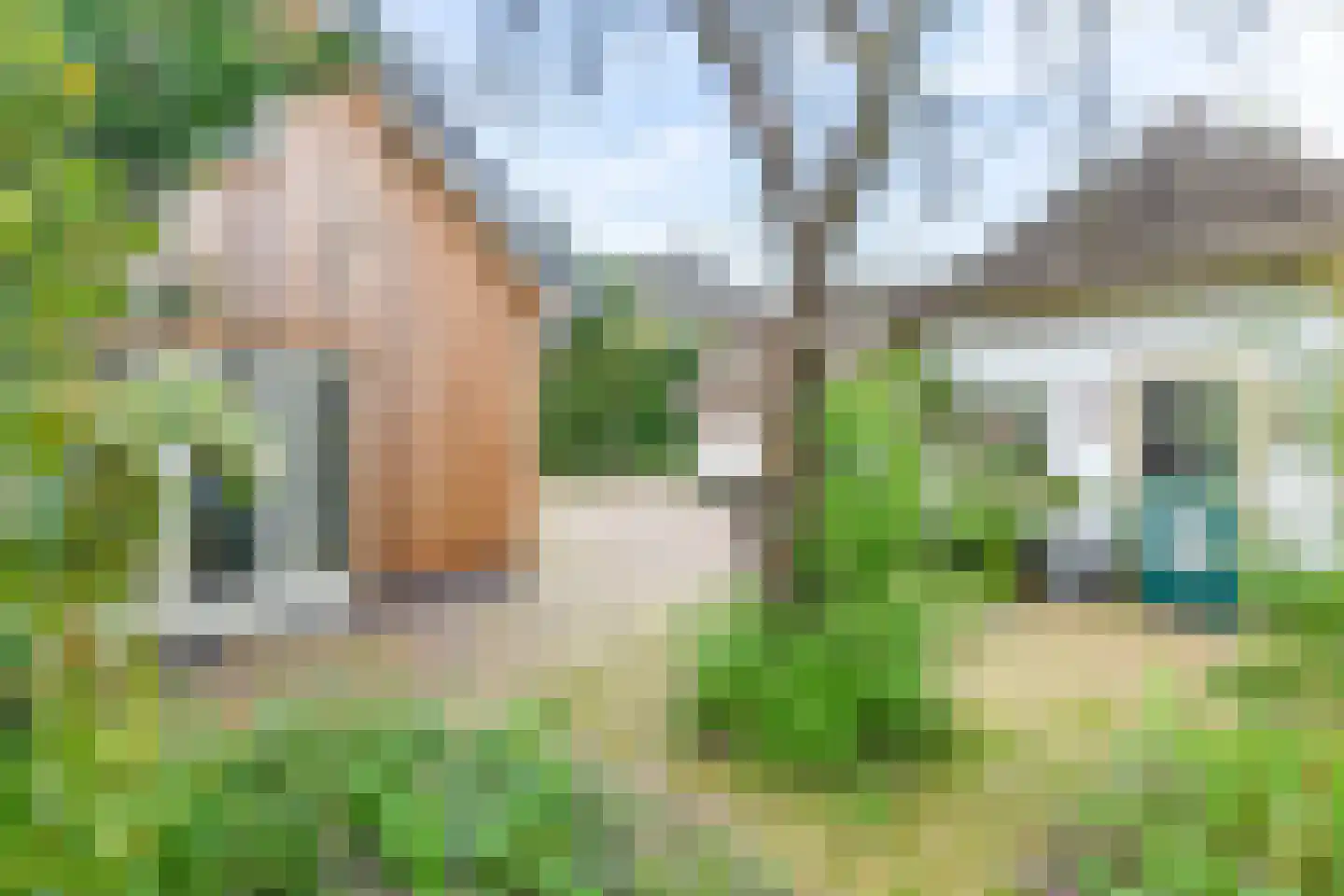Melkweg 64 Laren thumbnail 16