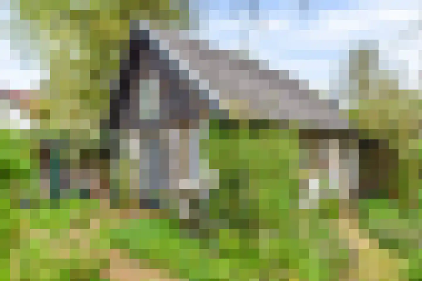 Melkweg 64 Laren thumbnail 31