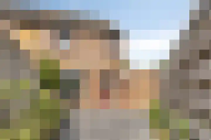 Melkweg 64 Oude-Tonge thumbnail 6
