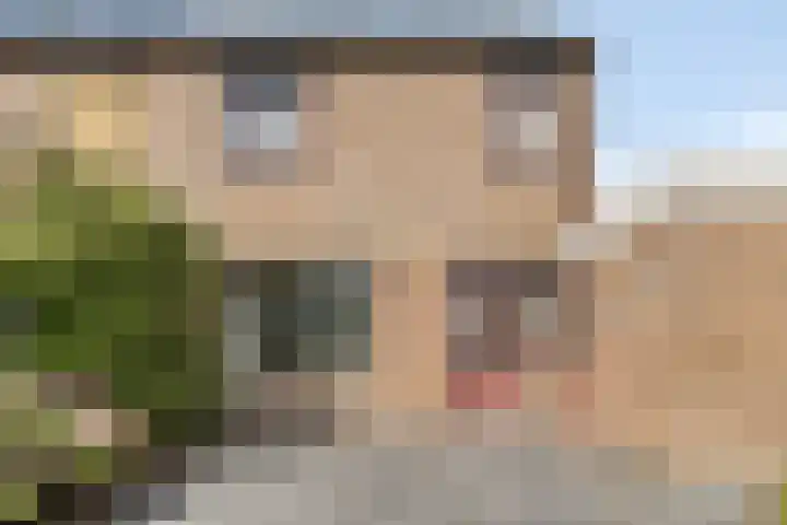 Melkweg 64 Oude-Tonge thumbnail 7