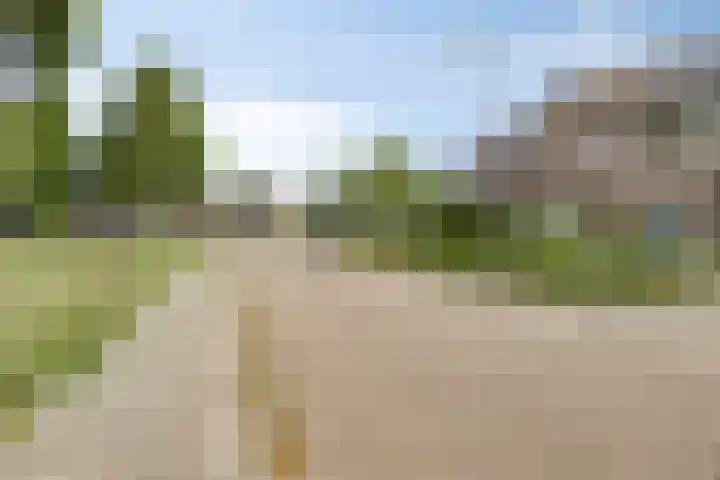 Melkweg 64 Oude-Tonge thumbnail 8