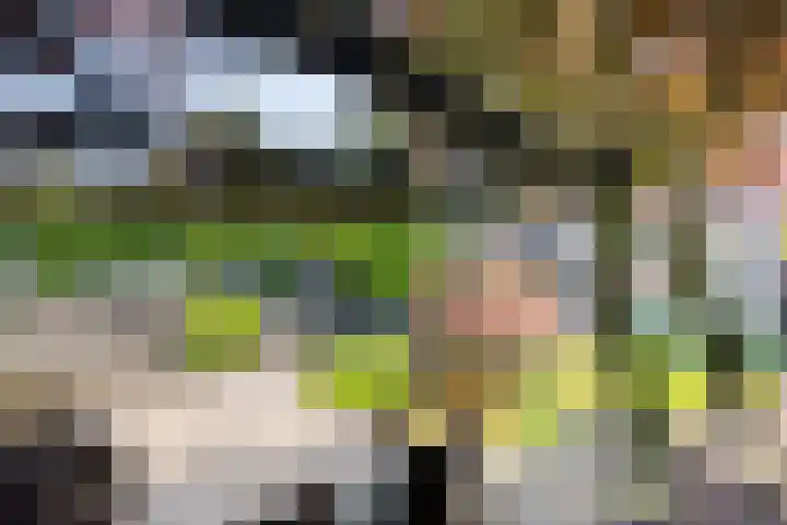 Melkweg 65 Silvolde thumbnail 5