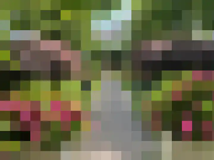Melkweg 7 Mill thumbnail 33