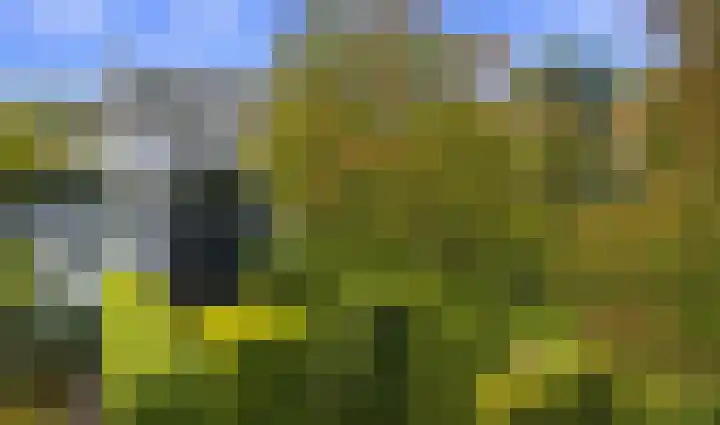 Melkweg 7 Mill thumbnail 36