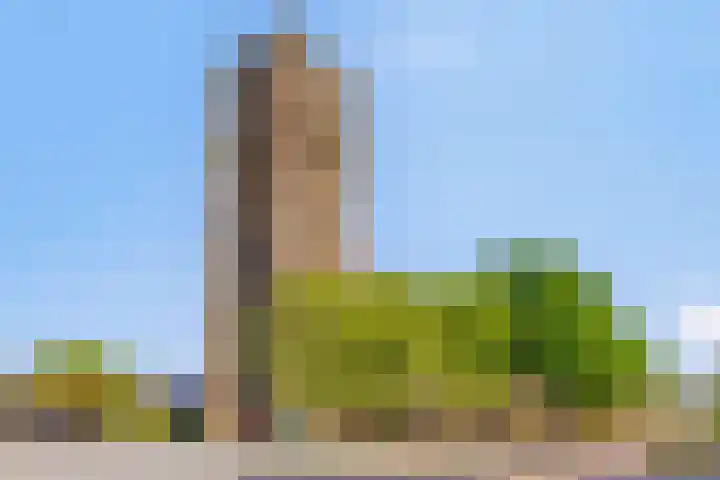 Melkweg 7 Mill thumbnail 44