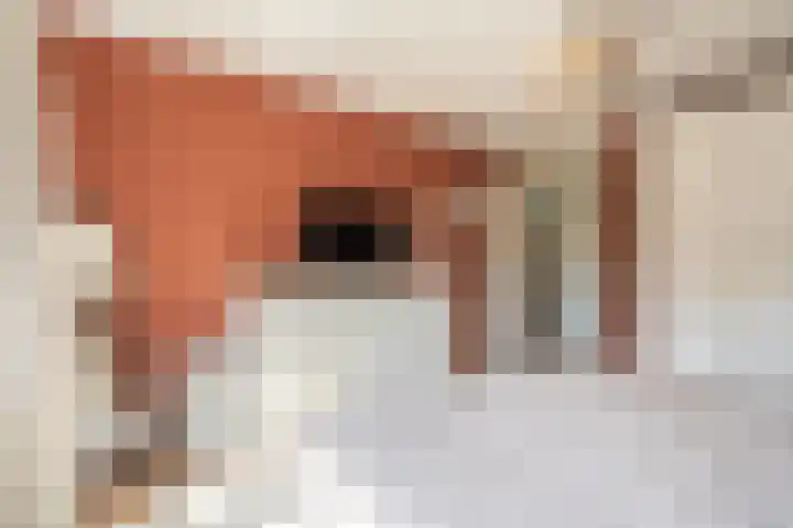 Melkweg 7 Winschoten thumbnail 33