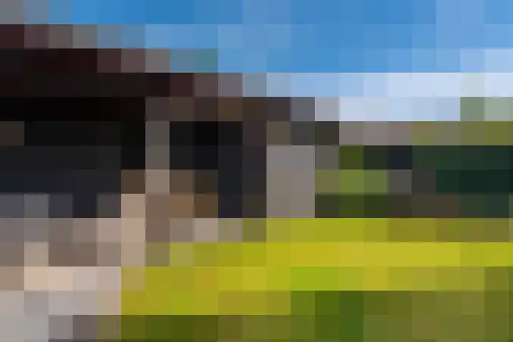 Melkweg 7 Winschoten thumbnail 53