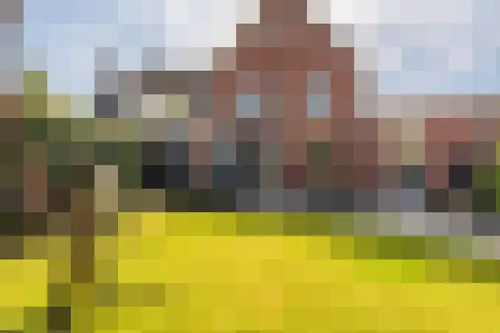 Melkweg 7 Winschoten thumbnail 57