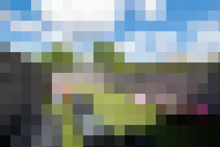Melkweg 70 Hellevoetsluis thumbnail 31