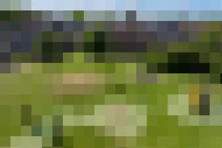 Melkweg 70 Hellevoetsluis thumbnail 47