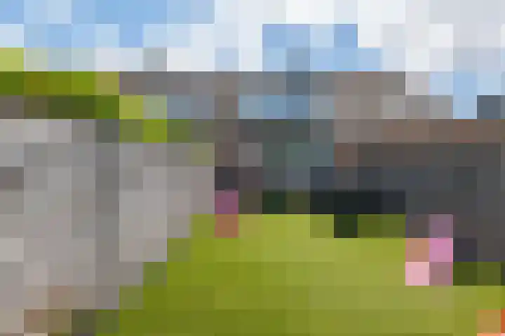 Melkweg 70 Hellevoetsluis thumbnail 5