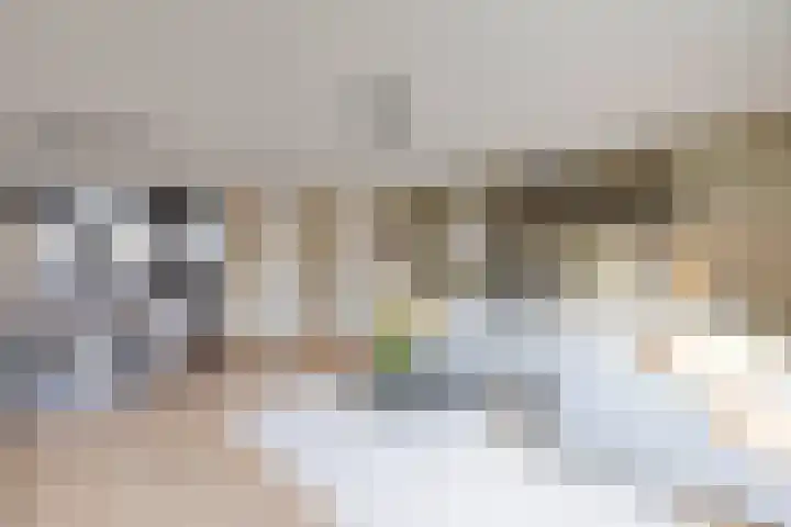 Melkweg 70 Zuidland thumbnail 10