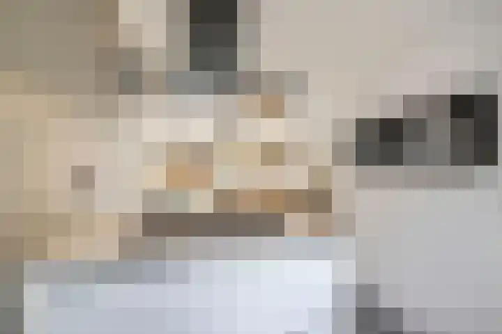 Melkweg 70 Zuidland thumbnail 12