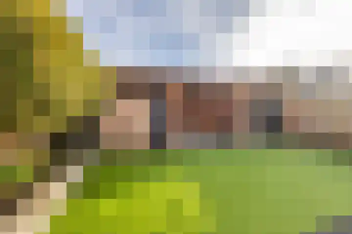 Melkweg 70 Zuidland thumbnail 30